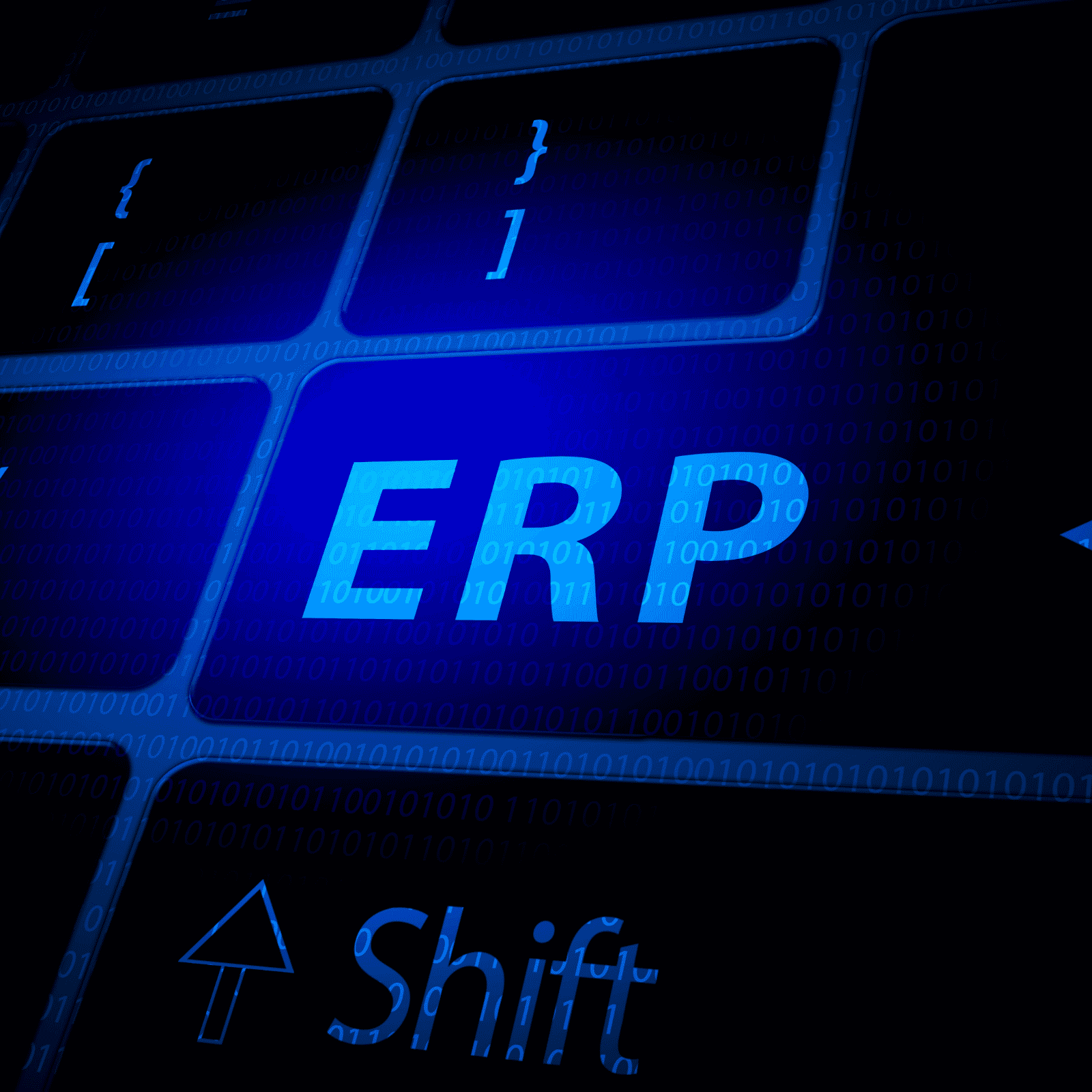 erp pricing